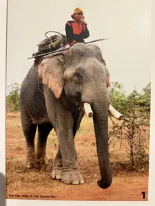 Đắk Lắk, 2009. © Trần Quang Nam (ダクラク、2009年