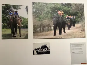 それはムノン族の武道の精神、象の飼い慣らしと調教の技術を示しています。今日、象は観光にも役立っています