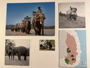 Đắc Lắc, 2011, © Nguyễn Bá Ngọc。LÀO。Tây Nguyên。CAMPUCHIA。Bình Phước。Đồng Nai。Quảng Nam。Kon Tum。Đắk Nông。Da Teh。Gia Lai。Quảng Ngãi。Đắk Lắk。Bình Định。Phú Yên。Khánh Hoà。Biển Đông。Lâm Đồng。Ninh Thuận。VOI RỪNG。Bình Thuận。VOI NHÀ。（日本語訳）。ダクラク、2011年、© グエン・バー・ゴック。ラオス。テイグエン（西原）。カンボジア。ビンフオック省。ドンナイ省。クアンナム省。コントゥム省。ダクノン省。ダーテ。ザライ省。クアンガイ省。ダクラク省。ビンディン省。フーイエン省。カインホア省。東海（南シナ海）。ラムドン省。ニントゥアン省。野生のゾウ。ビントゥアン省。家畜のゾウ