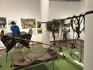 博物館の展示室。象に乗るための鞍（ハウダ）や手綱などの道具が展示されている。壁には象と人々が写った写真が複数飾られているが、説明文の文字は不鮮明で判読できない