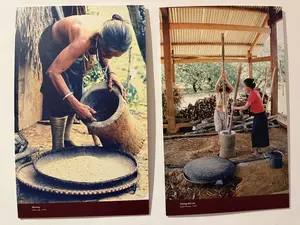 Mnông。Đắk Lắk, 1996。Xtiêng (Bù Lơ)。Bình Phước, 1997。（日本語訳）。ムノン族。ダクラク、1996年。スティエン族（ブーロー）。ビンフオック、1997年