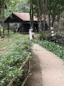 [緑豊かな公園の中にレンガ敷きの小道が奥へと続いている