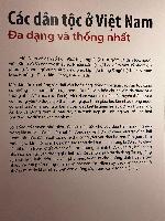 202512_dantochocVN/IMG_1941.JPG 1259KB