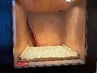 202512_dantochocVN/IMG_1950.JPG 2079KB