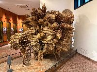 202512_dantochocVN/IMG_1951.JPG 3172KB