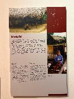 202512_dantochocVN/IMG_1963.JPG 2058KB