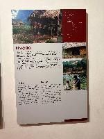 202512_dantochocVN/IMG_1964.JPG 2052KB