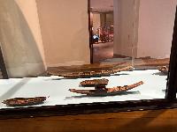 202512_dantochocVN/IMG_1981.JPG 1415KB