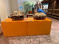 202512_dantochocVN/IMG_1988.JPG 2677KB