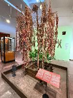 202512_dantochocVN/IMG_2006.JPG 1506KB