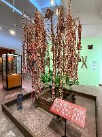 202512_dantochocVN/IMG_2007.JPG 1590KB