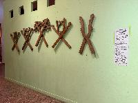 202512_dantochocVN/IMG_2008.JPG 1854KB