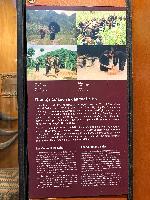 202512_dantochocVN/IMG_2013.JPG 2720KB