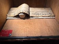 202512_dantochocVN/IMG_2019.JPG 2192KB