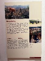 202512_dantochocVN/IMG_2021.JPG 2418KB