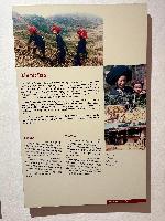 202512_dantochocVN/IMG_2022.JPG 2632KB