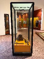 202512_dantochocVN/IMG_2023.JPG 2633KB