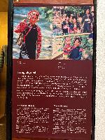 202512_dantochocVN/IMG_2029.JPG 2518KB