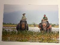 202512_dantochocVN/IMG_2041.JPG 2033KB