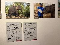 202512_dantochocVN/IMG_2042.JPG 2558KB