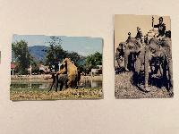 202512_dantochocVN/IMG_2043.JPG 2062KB