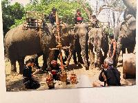 202512_dantochocVN/IMG_2045.JPG 2491KB