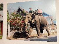 202512_dantochocVN/IMG_2050.JPG 2373KB