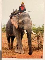 202512_dantochocVN/IMG_2051.JPG 2196KB