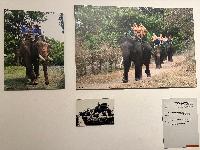 202512_dantochocVN/IMG_2053.JPG 2667KB