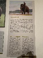 202512_dantochocVN/IMG_2057.JPG 1413KB