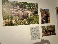 202512_dantochocVN/IMG_2058.JPG 1491KB