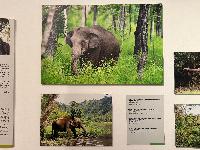 202512_dantochocVN/IMG_2060.JPG 2628KB