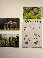 202512_dantochocVN/IMG_2061.JPG 2579KB