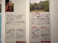 202512_dantochocVN/IMG_2063.JPG 2477KB