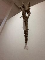 202512_dantochocVN/IMG_2080.JPG 878KB