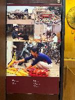 202512_dantochocVN/IMG_2087.JPG 2319KB