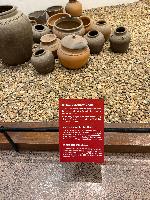 202512_dantochocVN/IMG_2099.JPG 2970KB