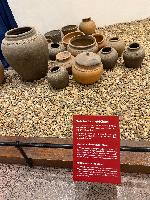 202512_dantochocVN/IMG_2100.JPG 3199KB