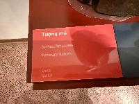 202512_dantochocVN/IMG_2101.JPG 778KB