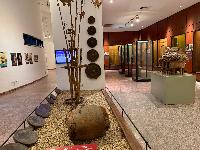 202512_dantochocVN/IMG_2120.JPG 2409KB