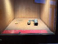 202512_dantochocVN/IMG_2127.JPG 1930KB