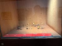 202512_dantochocVN/IMG_2128.JPG 1701KB