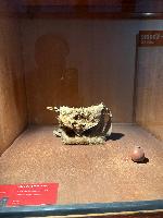 202512_dantochocVN/IMG_2140.JPG 2072KB