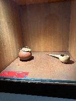 202512_dantochocVN/IMG_2141.JPG 2050KB