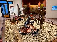 202512_dantochocVN/IMG_2142.JPG 3538KB