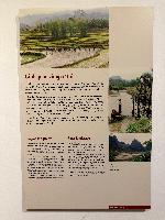 202512_dantochocVN/IMG_2150.JPG 2374KB