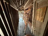 202512_dantochocVN/IMG_2785.JPG 1358KB