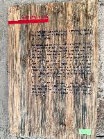 202512_dantochocVN/IMG_2799.JPG 4336KB