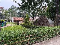 202512_dantochocVN/IMG_2808.JPG 5288KB