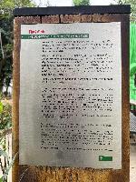 202512_dantochocVN/IMG_2809.JPG 3203KB